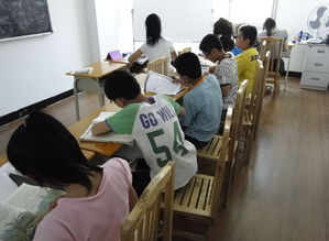 如何選擇合適的初中補(bǔ)習(xí)班、小學(xué)三年級語文補(bǔ)習(xí)及物業(yè)管理服務(wù)