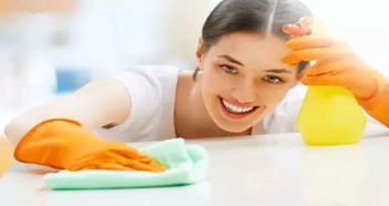 家政服務(wù)的品質(zhì)之選 深度解析好傭來菲傭的顯著優(yōu)勢